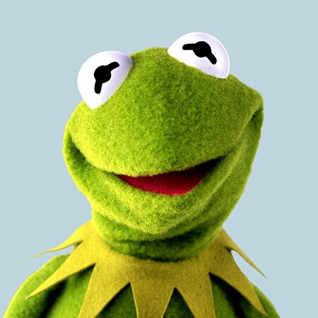 https://i.postimg.cc/Gtcrg2ds/character-themuppets-kermit-b77a431b.jpg